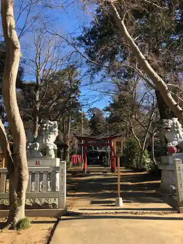 鹿嶋神社の狛犬