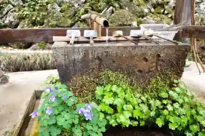 横峰寺(愛媛県)