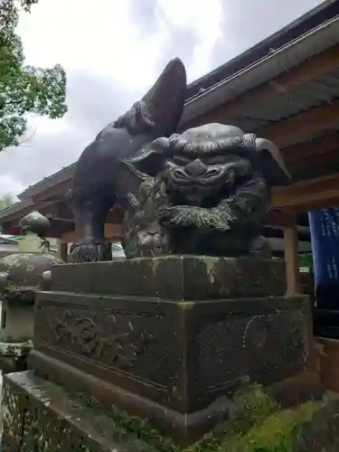 諫早神社（九州総守護  四面宮）の狛犬