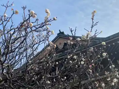 円覚寺(神奈川県)