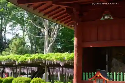 日吉神社のその他建物