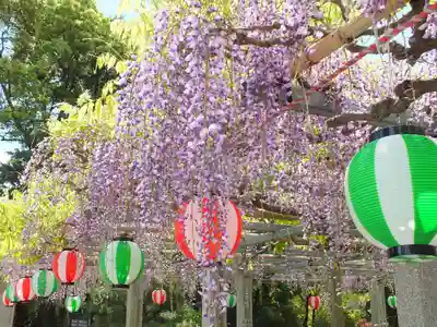 惣社神社の自然