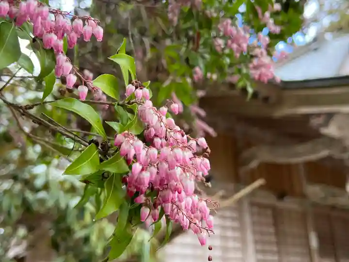 西照神社(徳島県)