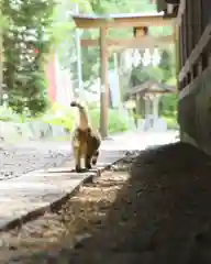 榛名神社(群馬県)