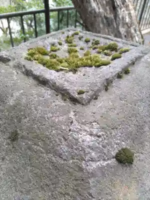 西宮神社の自然