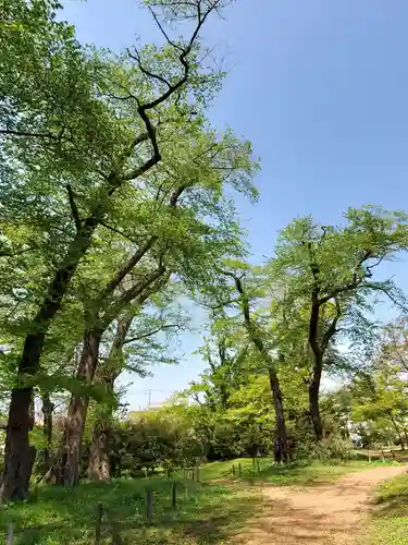 神炊館神社 ⁂奥州須賀川総鎮守⁂(福島県)