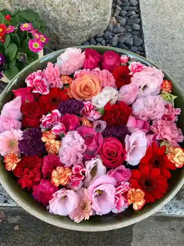 彌都加伎神社の手水舎