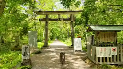 戸隠神社九頭龍社の御朱印