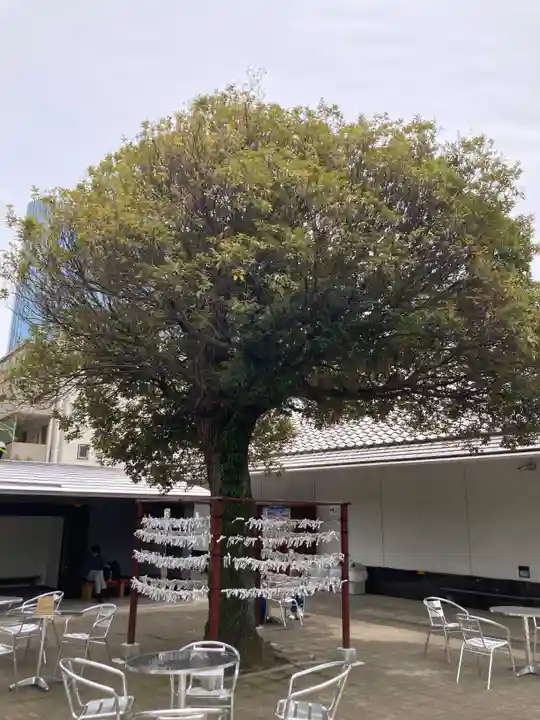 泉岳寺(東京都)