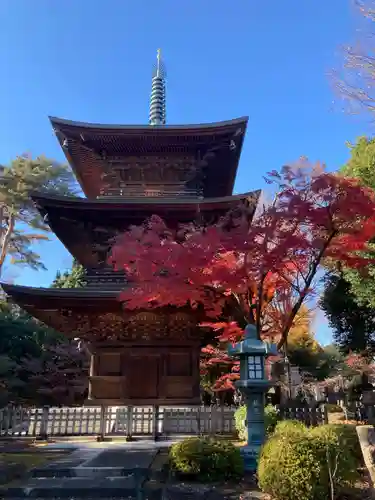 豪徳寺(東京都)