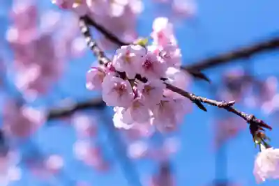 宮地嶽神社(福岡県)