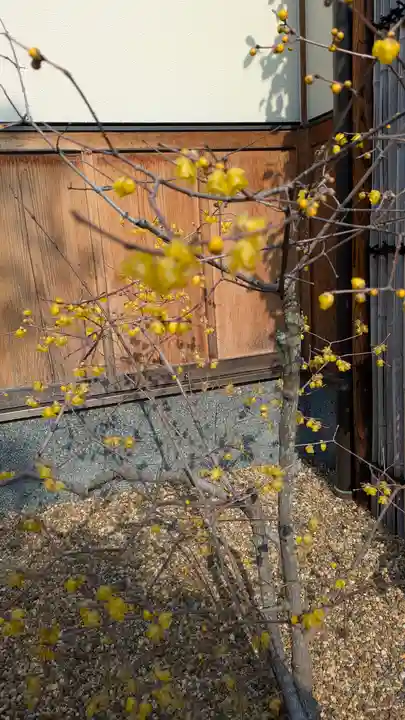 勝林寺(京都府)