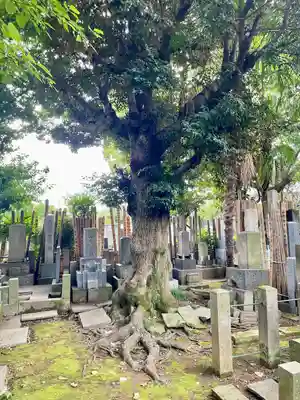 妙行寺(東京都)