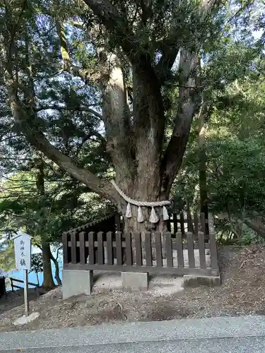 安房神社(千葉県)