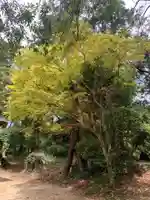 熊野神社(千葉県)