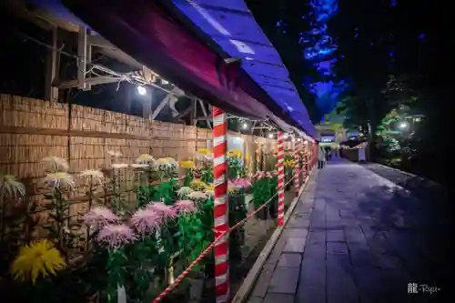 彌彦神社(新潟県)