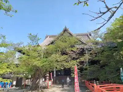 金剛宝寺（紀三井寺）の本殿・本堂