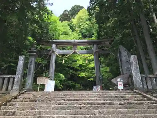 戸隠神社宝光社の鳥居