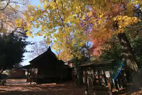 日吉神社の景色