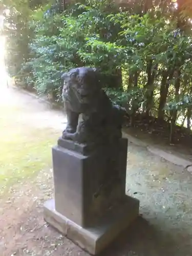 富岡八幡宮の狛犬