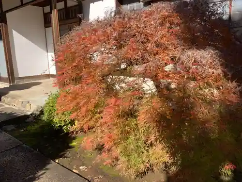 長仙寺(東京都)