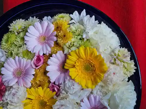 一乗寺(東京都)