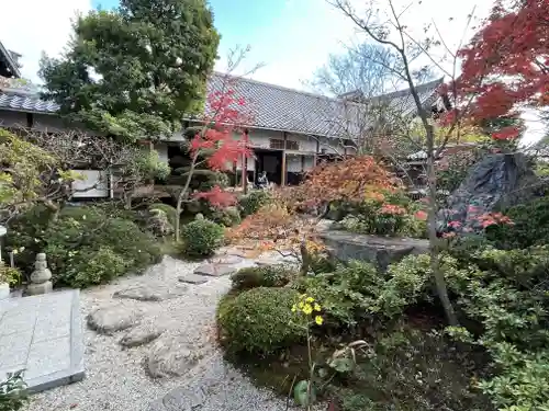 霊源院の庭園