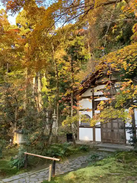 京都法然院歳時記 法然院(京都府蹴上駅)の投稿(1回目)。善氣山 法然院 萬無敎寺