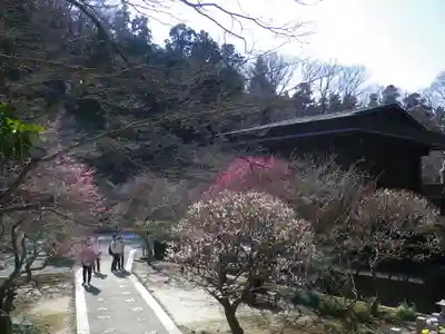 妙本寺のその他建物