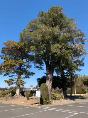 円成寺(千葉県)