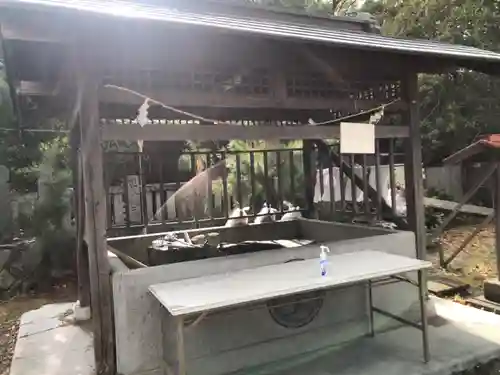 大麻比古神社の手水