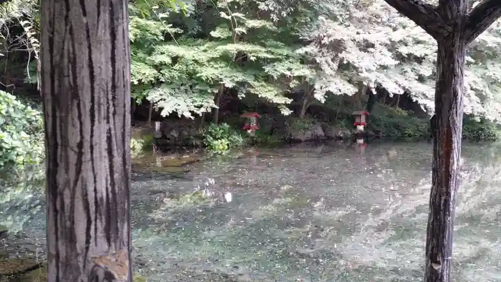 富士山本宮浅間大社(静岡県)