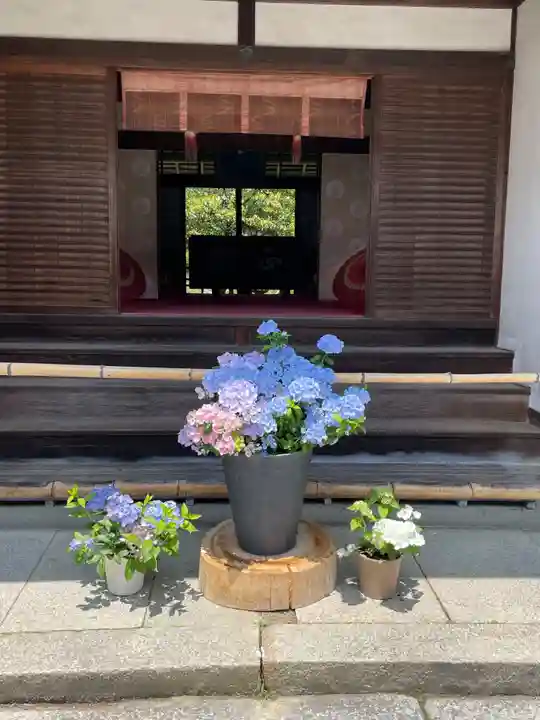 柳谷観音 楊谷寺の御朱印