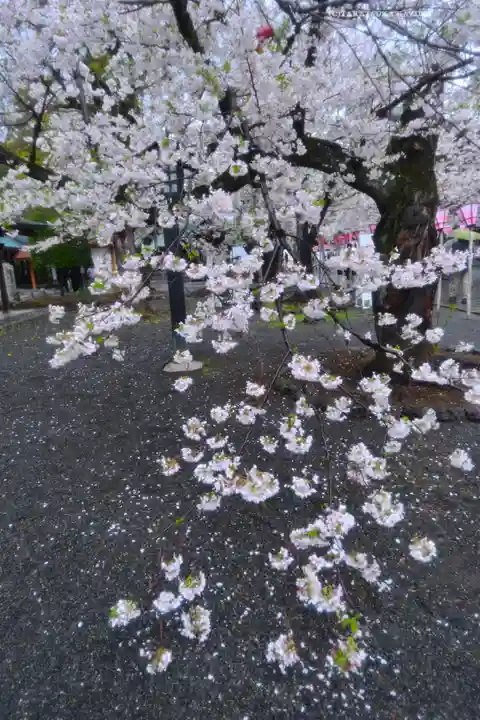 三嶋大社(静岡県)