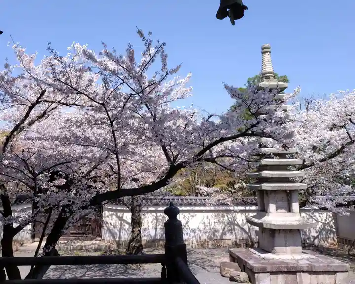 妙顯寺(妙顕寺)(京都府)