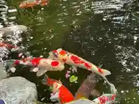 伊勢神宮内宮(皇大神宮)(三重県)