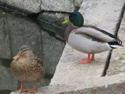 神泉苑(京都府)