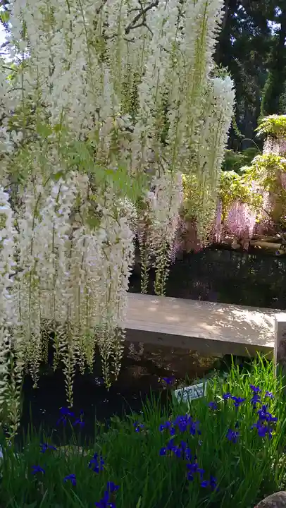 歌泉堂(春日大社神苑萬葉植物園内鎮座)(奈良県)