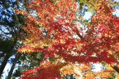 唐招提寺(奈良県)