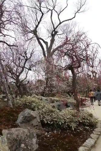 北野天満宮の庭園