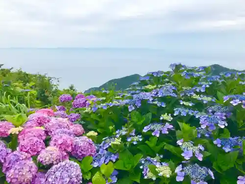 彌彦神社奥宮（御神廟）の自然