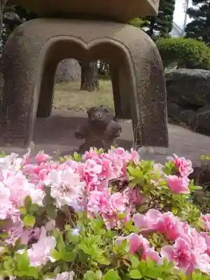 東光寺(東京都)