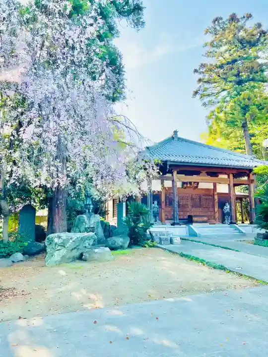 南光寺(笠懸不動尊)の{uncategorized: "未分類", other: "その他", undefined: "問題あり", building: "その他建物", grave: "お墓", sacred_gate: "鳥居", guardian: "狛犬", statue: "像", buddha: "仏像", history: "歴史", nature: "自然", garden: "庭園", animal: "動物", pagoda: "塔", temizu: "手水舎", mountain_gate: "山門・神門", sanctuary: "本殿・本堂", subordinate: "末社・摂社", art: "芸術", scenery: "景色", jizo: "地蔵", ema: "絵馬", goshuin: "御朱印", omikuji: "おみくじ", items: "授与品その他", amulet: "お守り", goshuincho: "御朱印帳", eats: "食事", festival: "お祭り", votive_dance: "神楽", shichigosan: "七五三参", wedding: "結婚式", experience: "体験その他", initially: "初詣", around: "周辺", anti_infection: "感染症対策"}