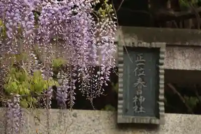 春日神社の鳥居