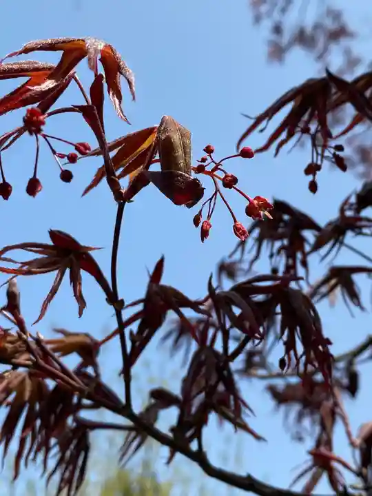 崇禅寺のその他建物