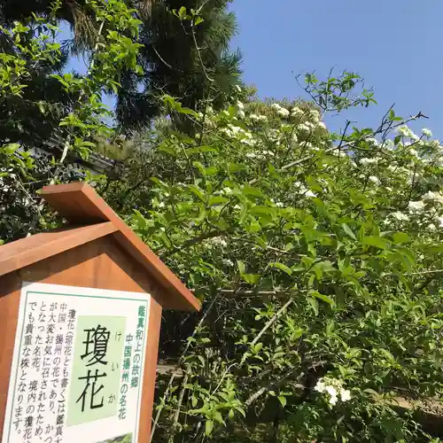 唐招提寺の自然