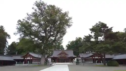 北海道護國神社の本殿・本堂