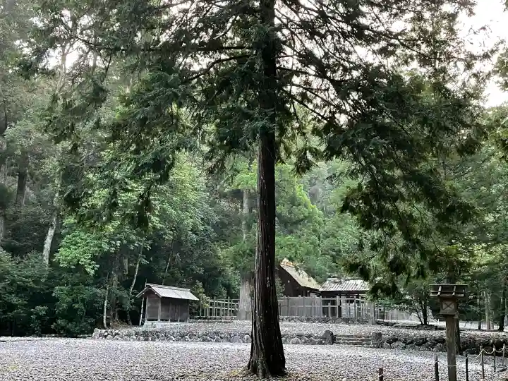 瀧原宮(皇大神宮別宮)の{uncategorized: "未分類", other: "その他", undefined: "問題あり", building: "その他建物", grave: "お墓", sacred_gate: "鳥居", guardian: "狛犬", statue: "像", buddha: "仏像", history: "歴史", nature: "自然", garden: "庭園", animal: "動物", pagoda: "塔", temizu: "手水舎", mountain_gate: "山門・神門", sanctuary: "本殿・本堂", subordinate: "末社・摂社", art: "芸術", scenery: "景色", jizo: "地蔵", ema: "絵馬", goshuin: "御朱印", omikuji: "おみくじ", items: "授与品その他", amulet: "お守り", goshuincho: "御朱印帳", eats: "食事", festival: "お祭り", votive_dance: "神楽", shichigosan: "七五三参", wedding: "結婚式", experience: "体験その他", initially: "初詣", around: "周辺", anti_infection: "感染症対策"}