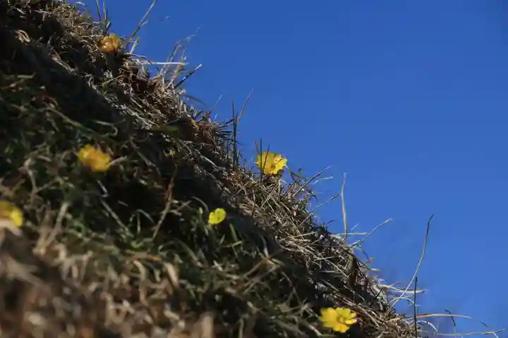 三春大神宮の自然