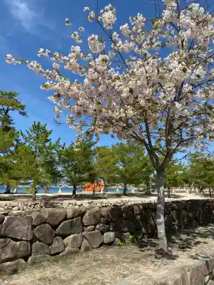 厳島神社の{uncategorized: "未分類", other: "その他", undefined: "問題あり", building: "その他建物", grave: "お墓", sacred_gate: "鳥居", guardian: "狛犬", statue: "像", buddha: "仏像", history: "歴史", nature: "自然", garden: "庭園", animal: "動物", pagoda: "塔", temizu: "手水舎", mountain_gate: "山門・神門", sanctuary: "本殿・本堂", subordinate: "末社・摂社", art: "芸術", scenery: "景色", jizo: "地蔵", ema: "絵馬", goshuin: "御朱印", omikuji: "おみくじ", items: "授与品その他", amulet: "お守り", goshuincho: "御朱印帳", eats: "食事", festival: "お祭り", votive_dance: "神楽", shichigosan: "七五三参", wedding: "結婚式", experience: "体験その他", initially: "初詣", around: "周辺", anti_infection: "感染症対策"}